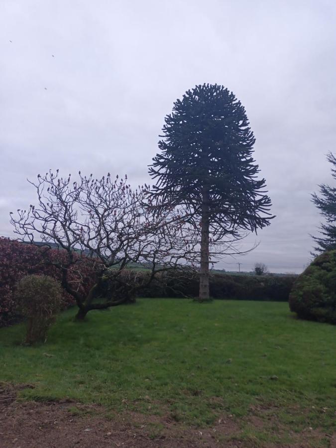 Drumgauty Cottage Strabane Exterior foto